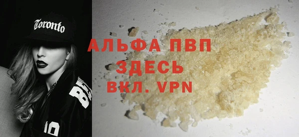 молекула духа Богородицк