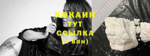 дживик Богданович