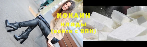 молекула духа Богородицк