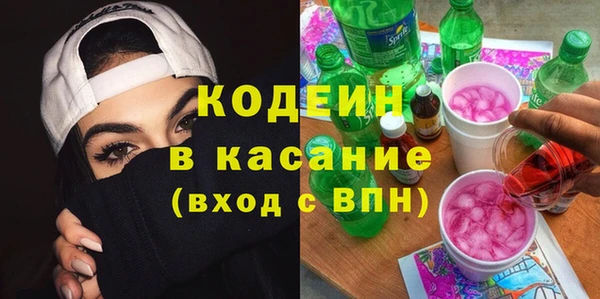 молекула духа Богородицк