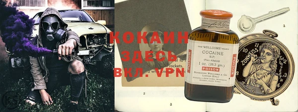 дживик Богданович