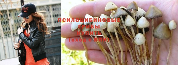 дживик Богданович